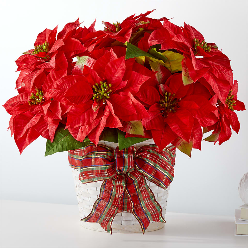 Happiest Holidays Poinsettia – DIGIORGIO'S FLORIST, Charleroi PA