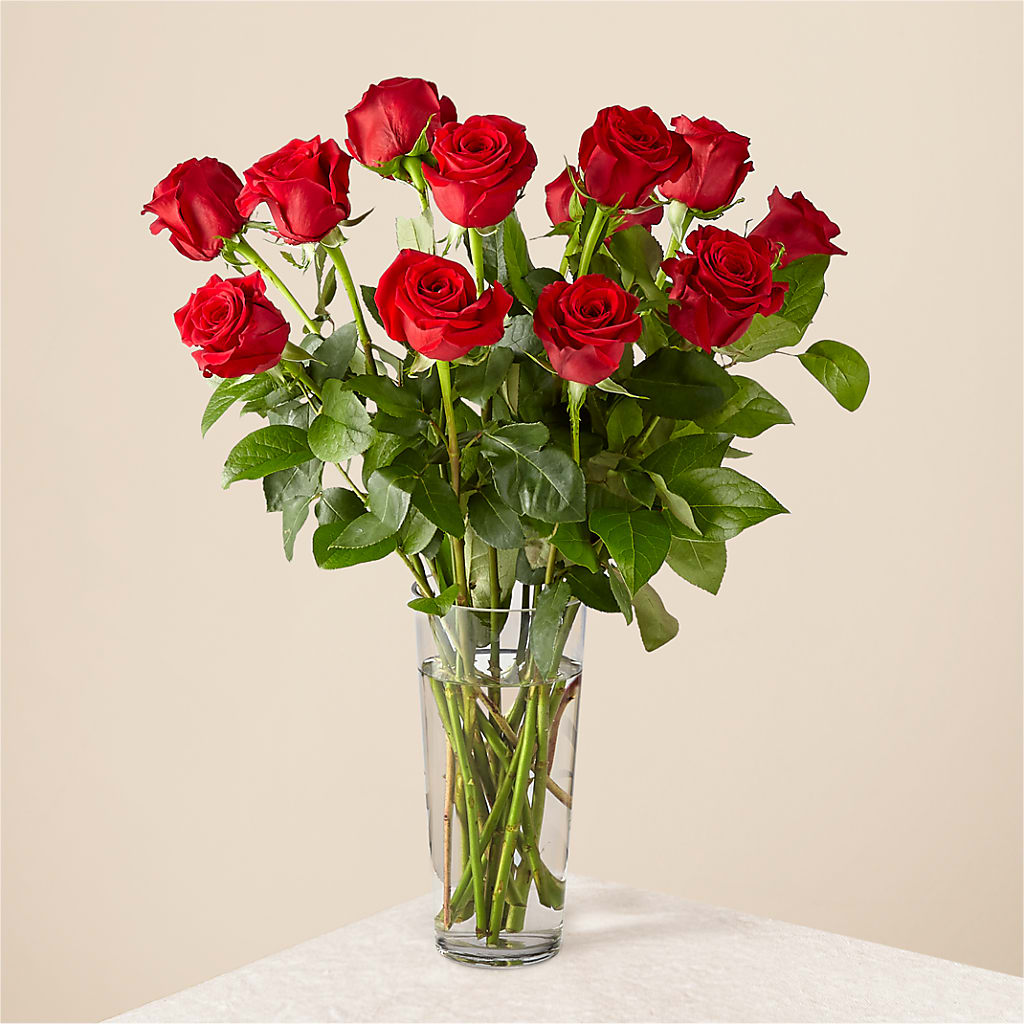 Long Stem Red Rose Bouquet – DIGIORGIO'S FLORIST, Charleroi PA