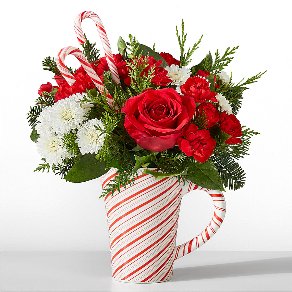 Peppermint Swirl Mug – DIGIORGIO'S FLORIST, Charleroi PA