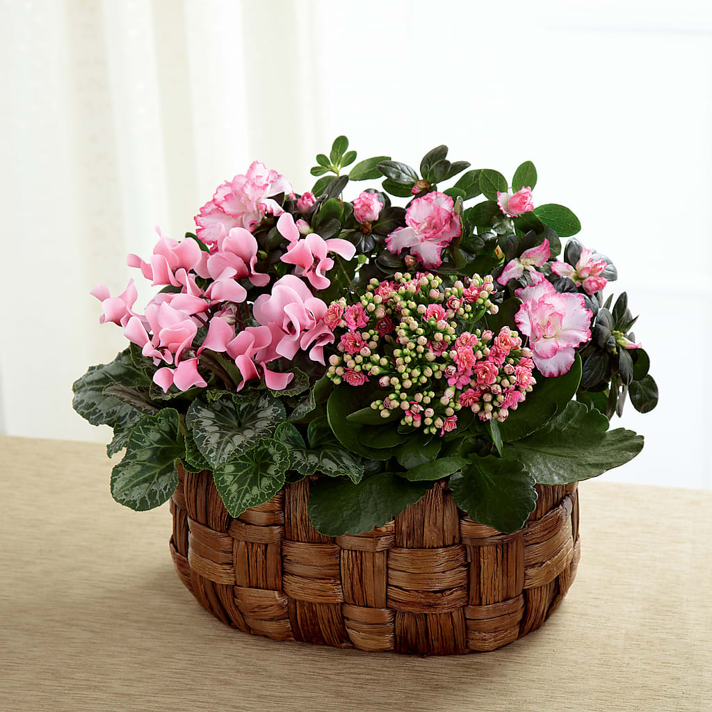 Pink Assortment – DIGIORGIO'S FLORIST, Charleroi PA