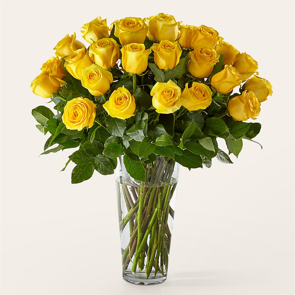 Long Stem Yellow Rose Bouquet – DIGIORGIO'S FLORIST, Charleroi PA