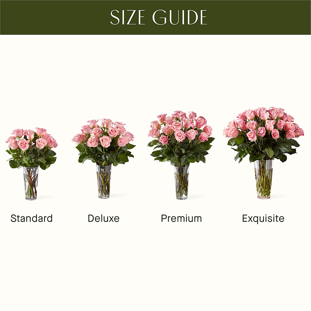 Long Stem Pink Rose Bouquet – DIGIORGIO'S FLORIST, Charleroi PA