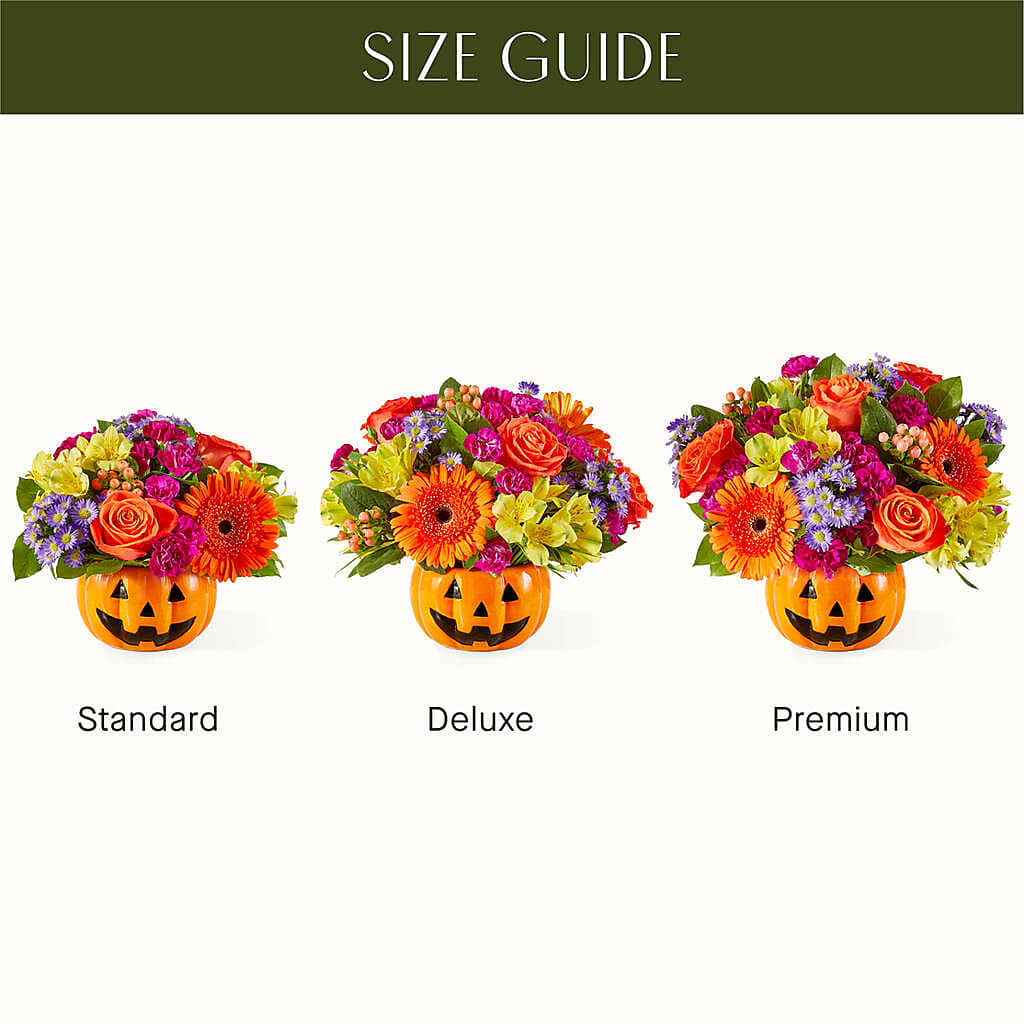 Tricks & Treats Pumpkin – DIGIORGIO'S FLORIST, Charleroi PA