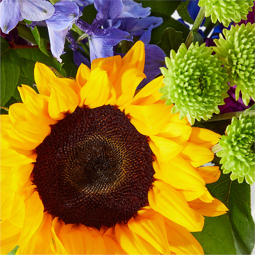 Catching Rays Bouquet – DIGIORGIO'S FLORIST, Charleroi PA