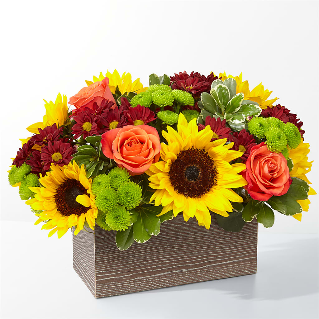 Happy Harvest Garden – DIGIORGIO'S FLORIST, Charleroi PA