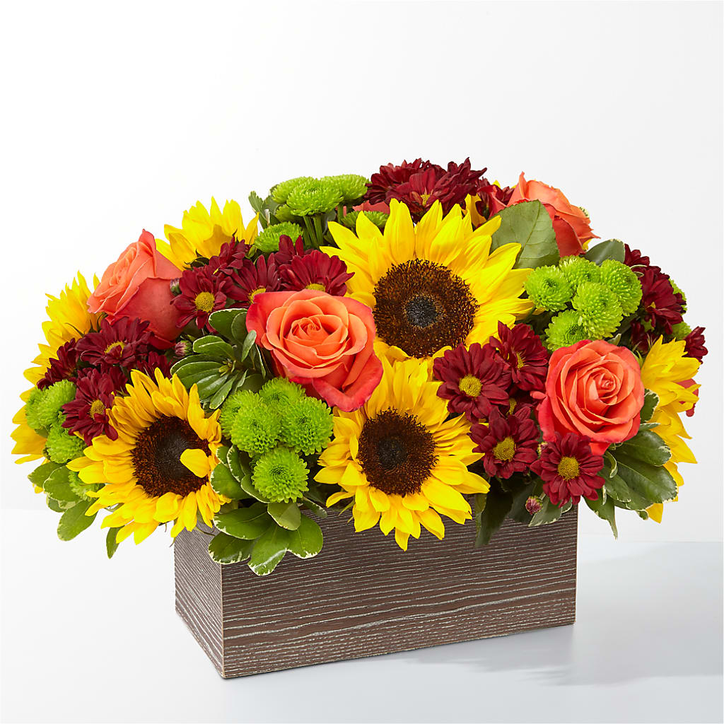 Happy Harvest Garden – DIGIORGIO'S FLORIST, Charleroi PA