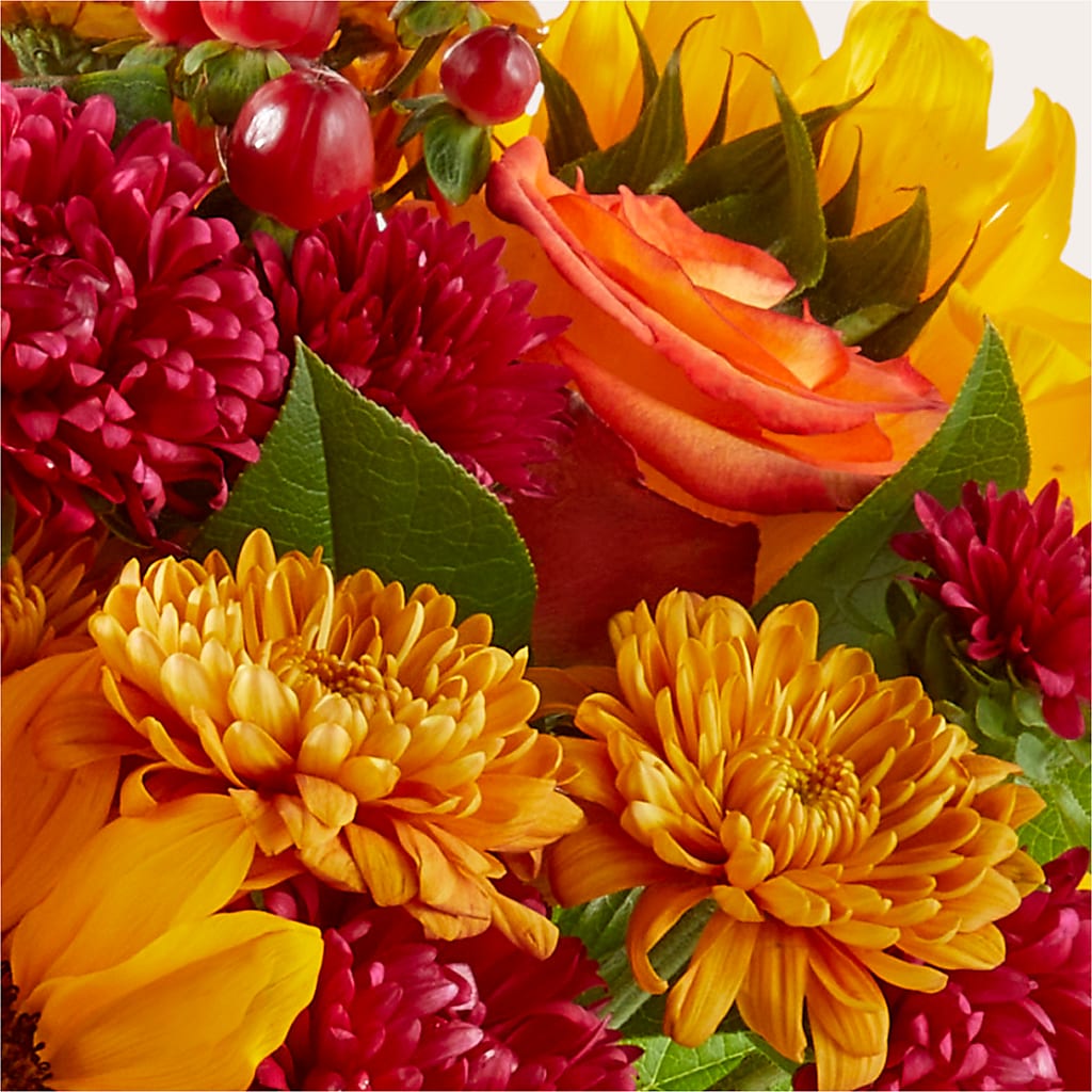 Sweater Season - A Florist Original – DIGIORGIO'S FLORIST, Charleroi PA