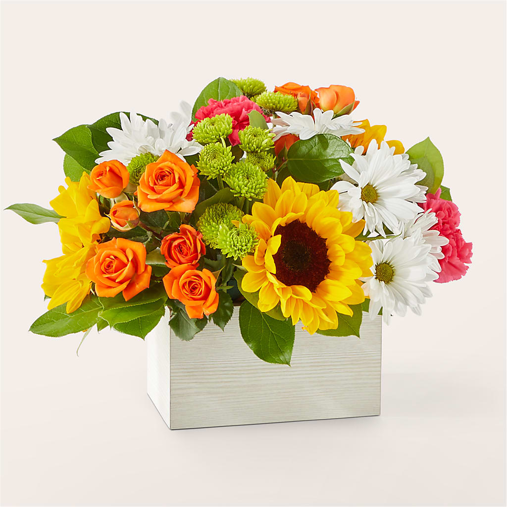 Sun-drenched Blooms Box Bouquet – DIGIORGIO'S FLORIST, Charleroi PA