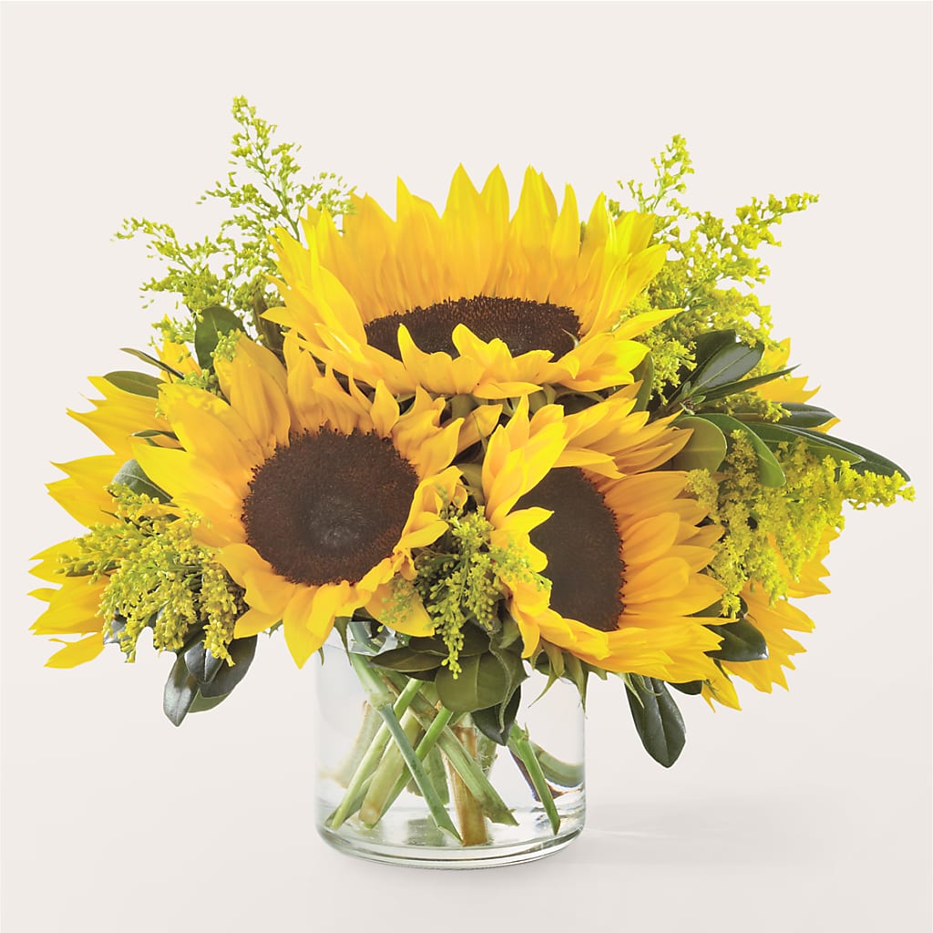 Beaming Sunflower Bouquet – DIGIORGIO'S FLORIST, Charleroi PA