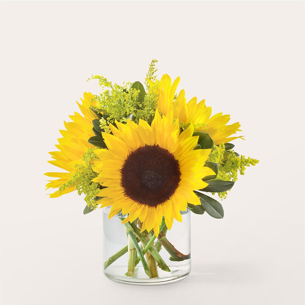 Beaming Sunflower Bouquet – DIGIORGIO'S FLORIST, Charleroi PA