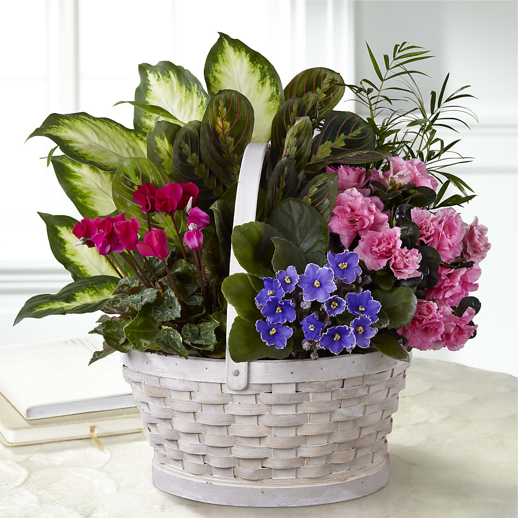 Peaceful Garden Planter – DIGIORGIO'S FLORIST, Charleroi PA