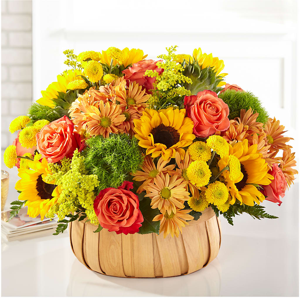 Harvest Sunflower Basket – DIGIORGIO'S FLORIST, Charleroi PA