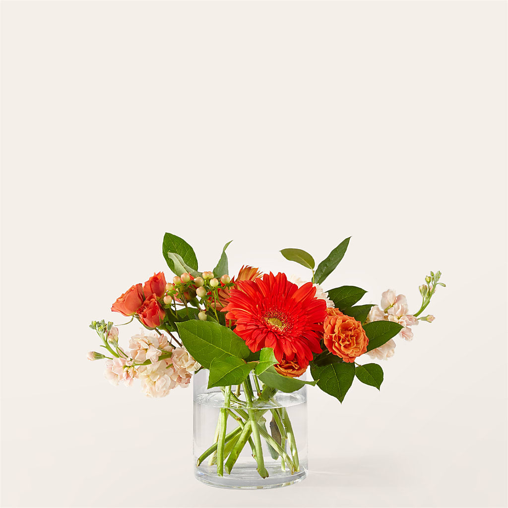 Paloma Please Bouquet – DIGIORGIO'S FLORIST, Charleroi PA