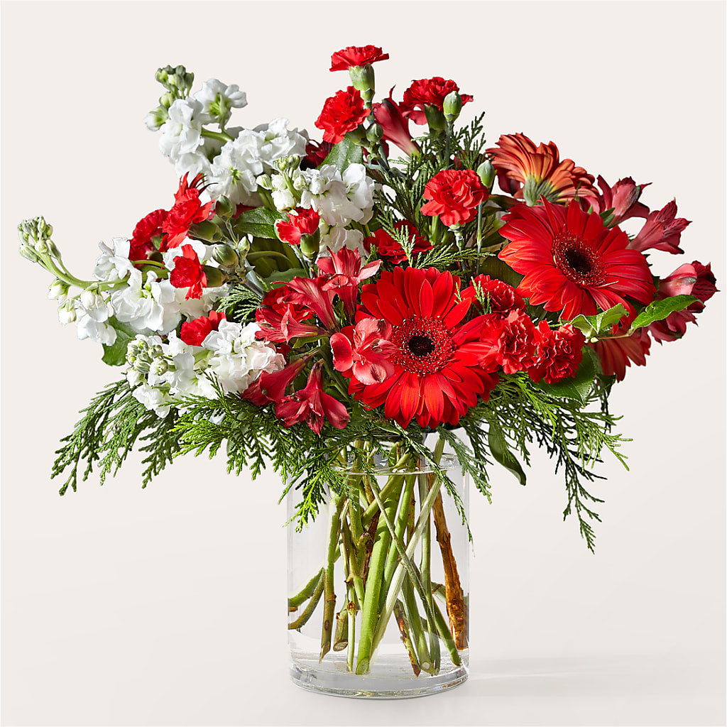 Holidaisy Bouquet – DIGIORGIO'S FLORIST, Charleroi PA