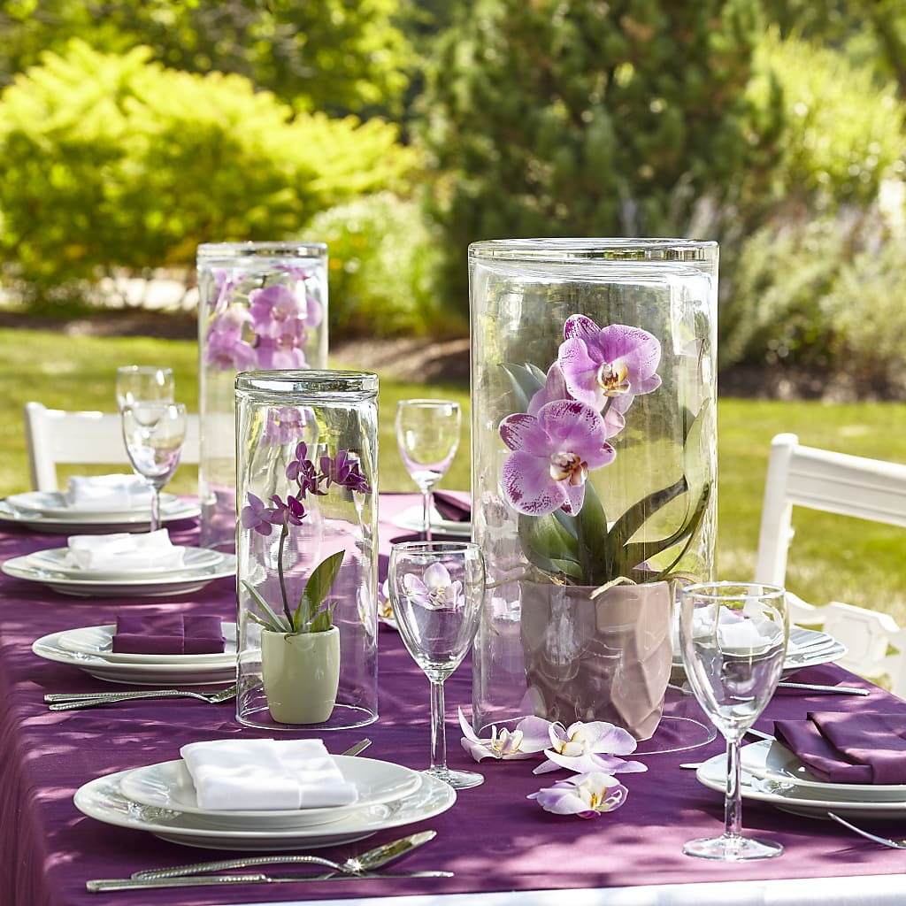 Dramatic Garden Centerpiece – DIGIORGIO'S FLORIST, Charleroi PA