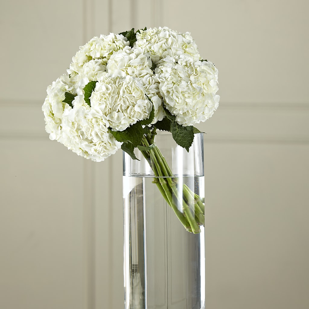 White Hydrangea Hand-Tied Bouquet – DIGIORGIO'S FLORIST, Charleroi PA