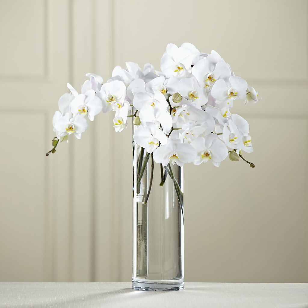 White Phalaenopsis Bouquet – DIGIORGIO'S FLORIST, Charleroi PA