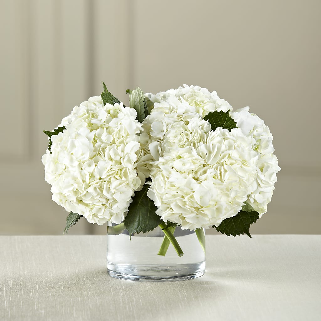 White Hydrangea Bouquet – DIGIORGIO'S FLORIST, Charleroi PA
