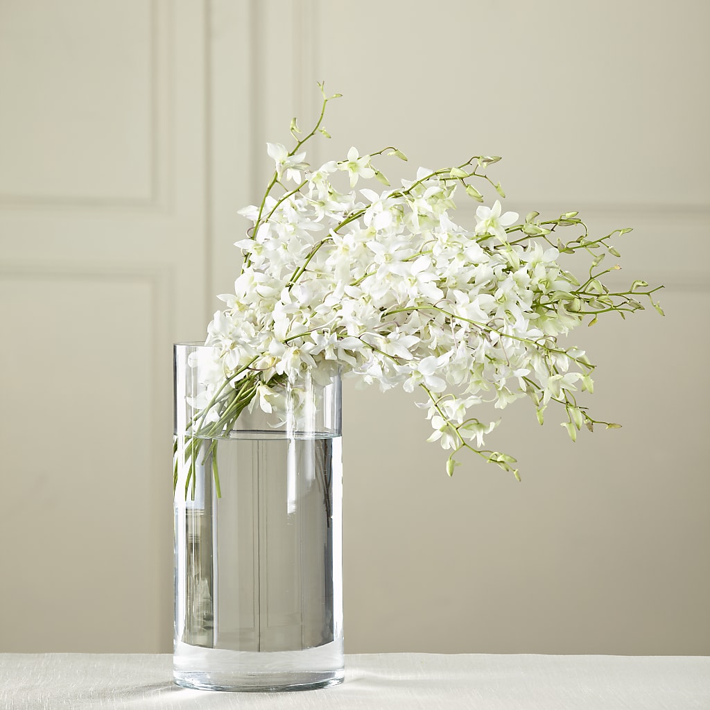 White Dendrobium Bouquet – DIGIORGIO'S FLORIST, Charleroi PA
