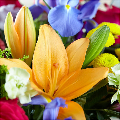 Bold & Bright – A Florist Original – DIGIORGIO'S FLORIST, Charleroi PA