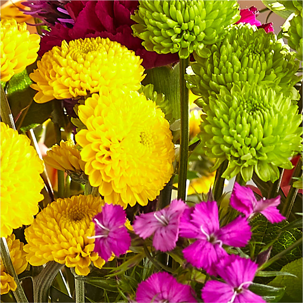 Bold & Bright – A Florist Original – DIGIORGIO'S FLORIST, Charleroi PA