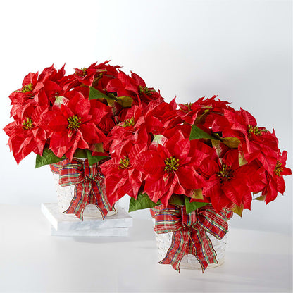 Happiest Holidays Poinsettia Bundle – DIGIORGIO'S FLORIST, Charleroi PA