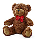 Adorable Plush Bear – DIGIORGIO'S FLORIST, Charleroi PA