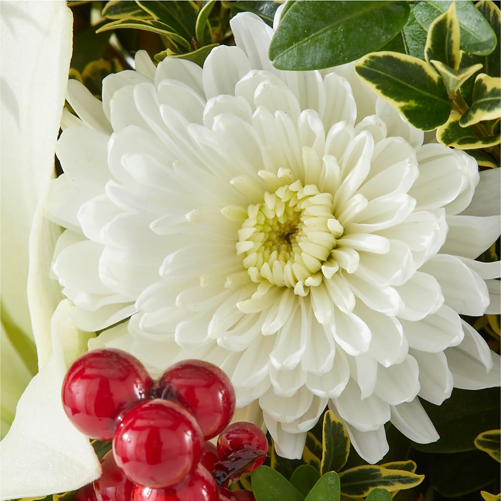 Festive Moments Tree – DIGIORGIO'S FLORIST, Charleroi PA