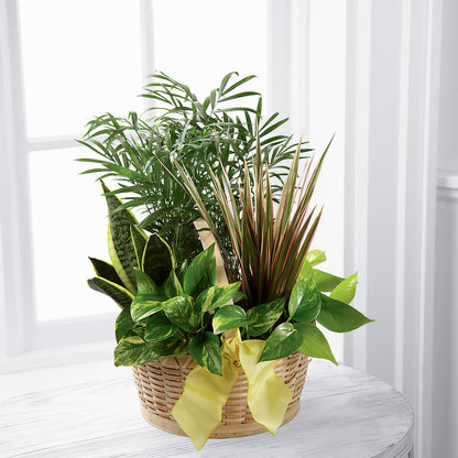 French Garden – DIGIORGIO'S FLORIST, Charleroi PA