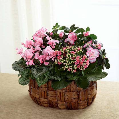 Pink Assortment – DIGIORGIO'S FLORIST, Charleroi PA