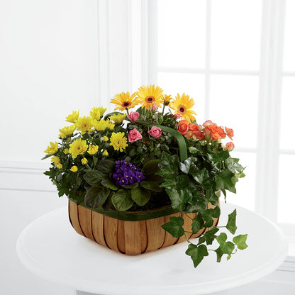 Gentle Blossoms Basket – DIGIORGIO'S FLORIST, Charleroi PA