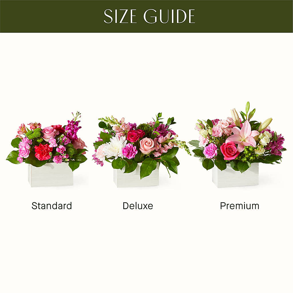 Sweetberry Box – A Florist Original – DIGIORGIO'S FLORIST, Charleroi PA