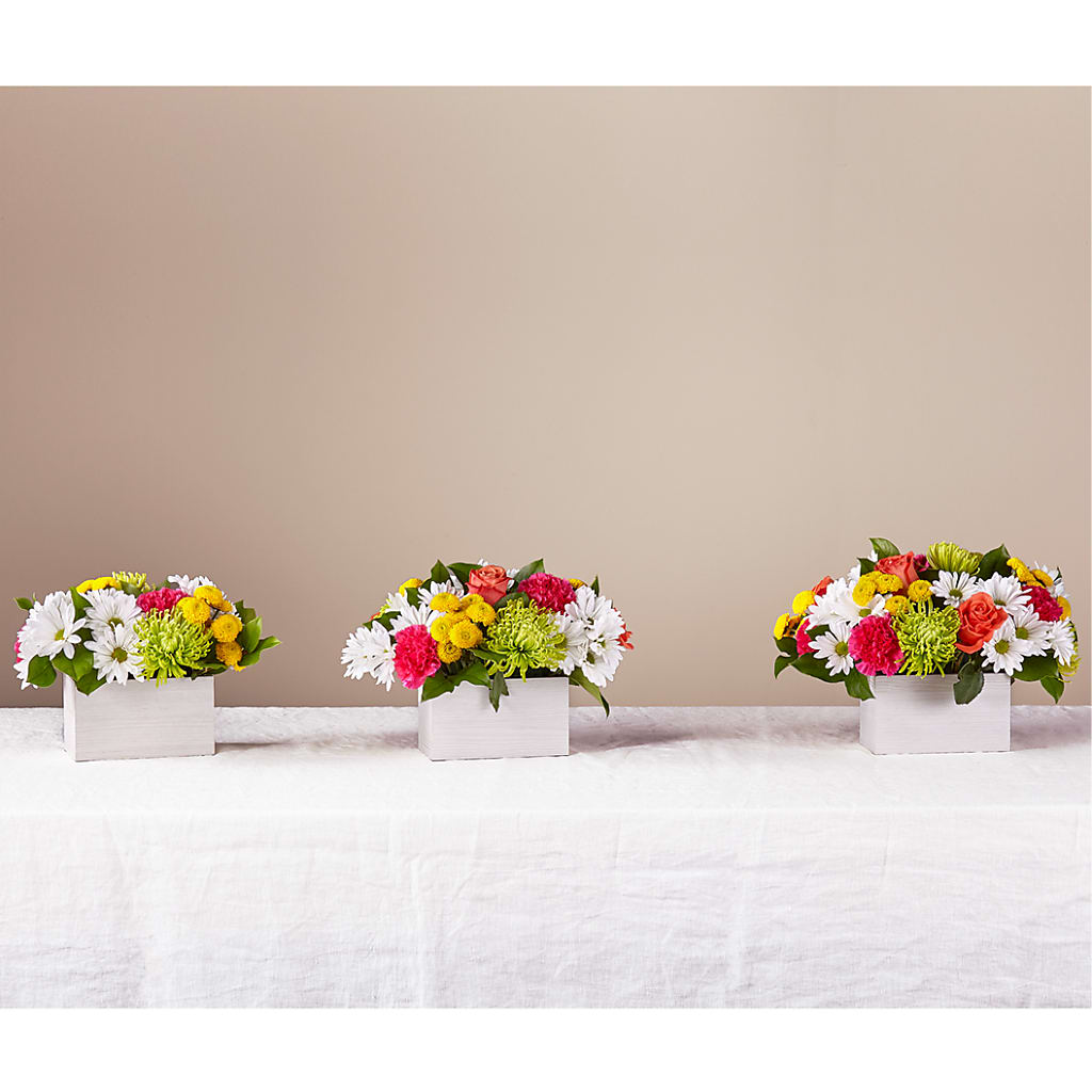 Sorbet Bouquet – DIGIORGIO'S FLORIST, Charleroi PA