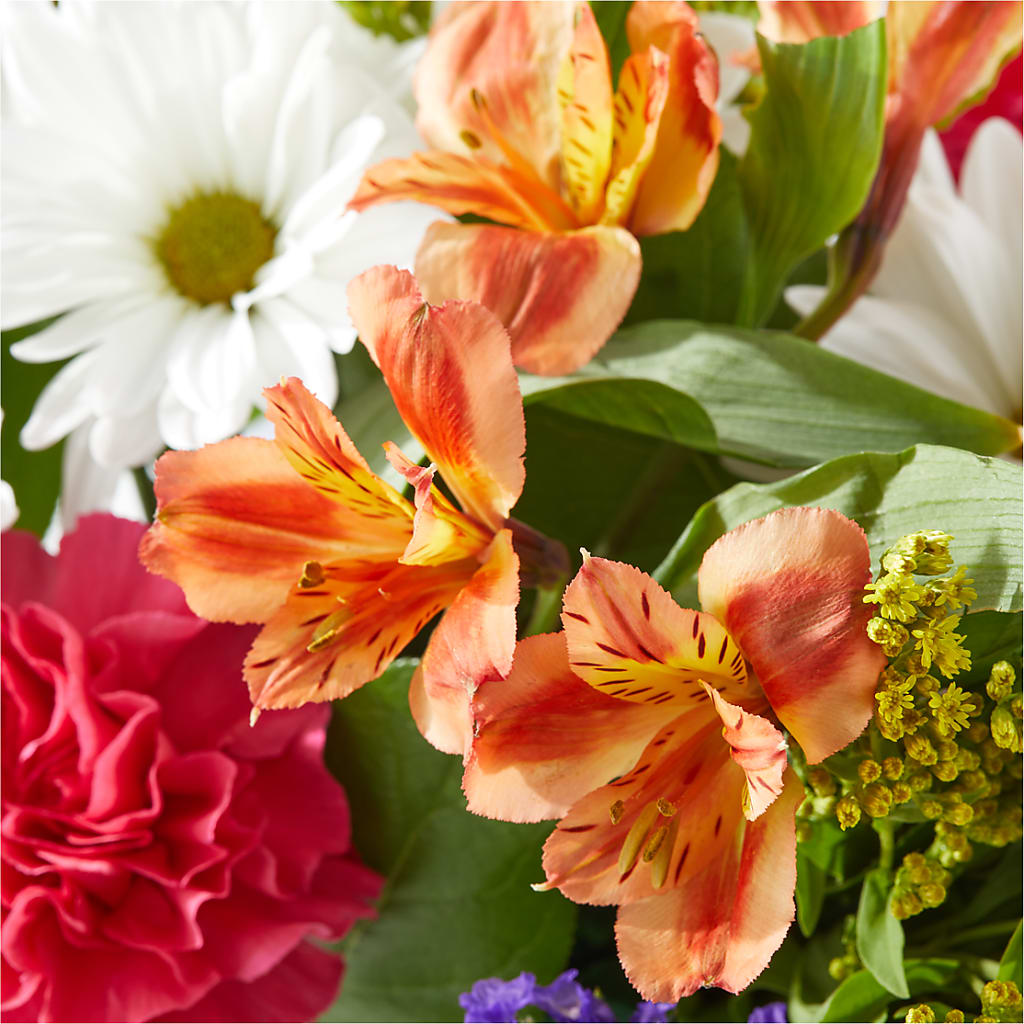 Oopsie Daisy Box Bouquet – DIGIORGIO'S FLORIST, Charleroi PA