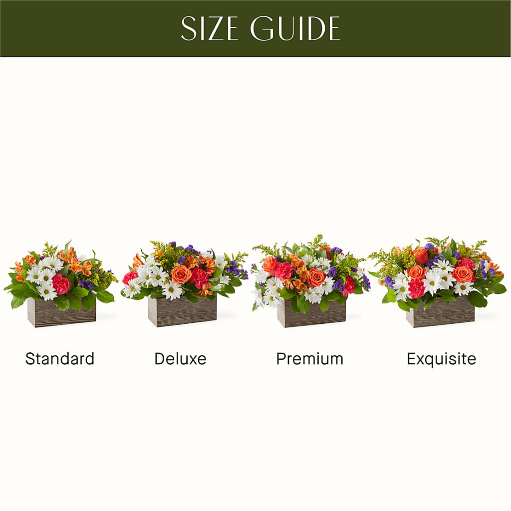 Oopsie Daisy Box Bouquet – DIGIORGIO'S FLORIST, Charleroi PA