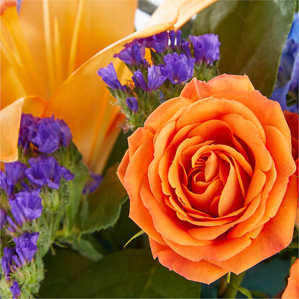 Radiant Citrus Box Bouquet – DIGIORGIO'S FLORIST, Charleroi PA