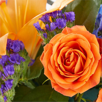 Radiant Citrus Box Bouquet – DIGIORGIO'S FLORIST, Charleroi PA