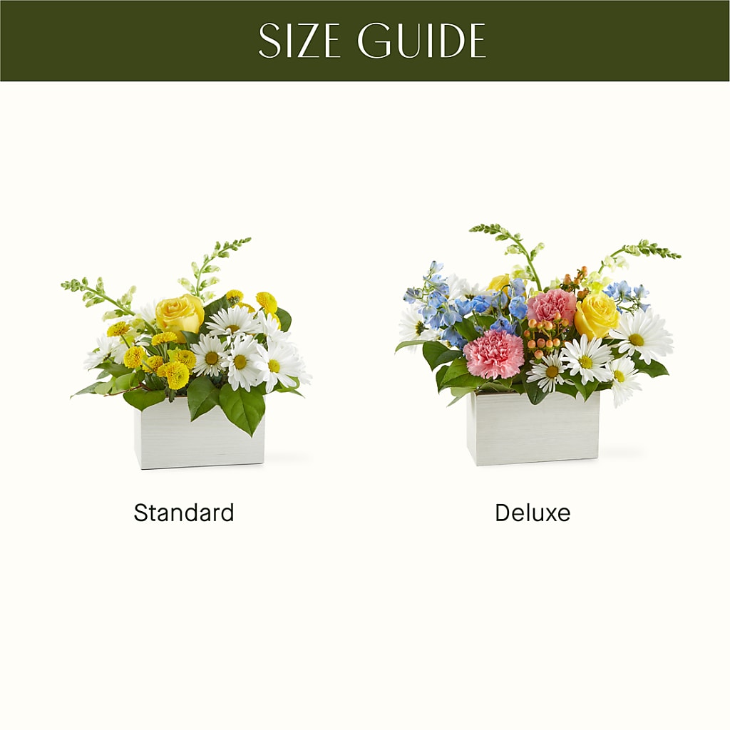 Sun Salutation Box Bouquet – DIGIORGIO'S FLORIST, Charleroi PA