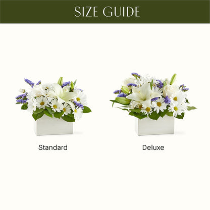 Beyond Blue Box Bouquet – DIGIORGIO'S FLORIST, Charleroi PA