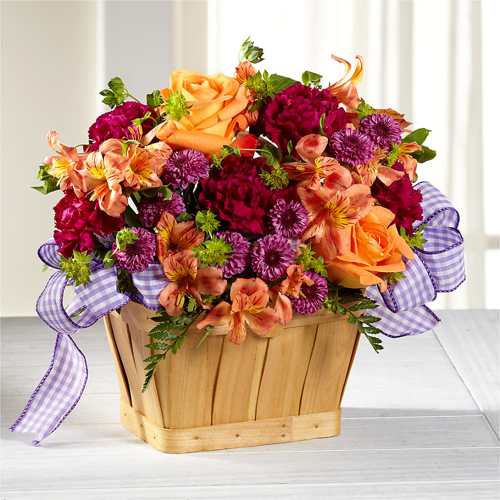 New Dream Basket
