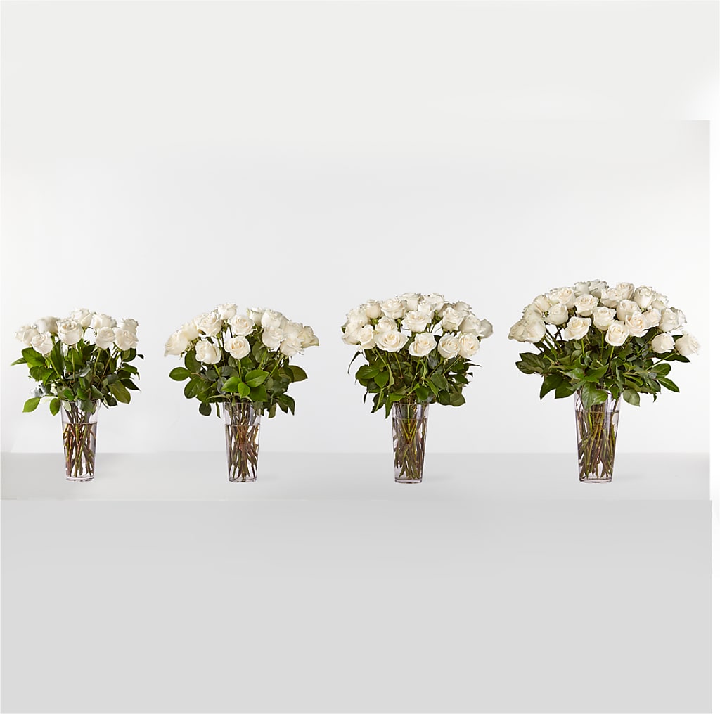 Long Stem White Rose Bouquet – DIGIORGIO'S FLORIST, Charleroi PA