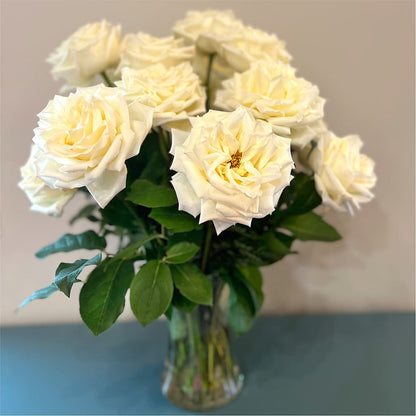 Long Stem Yellow Rose Bouquet – DIGIORGIO'S FLORIST, Charleroi PA