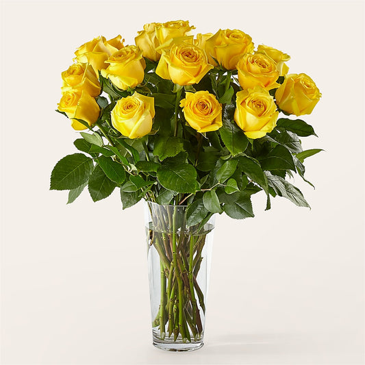 Long Stem Yellow Rose Bouquet – DIGIORGIO'S FLORIST, Charleroi PA