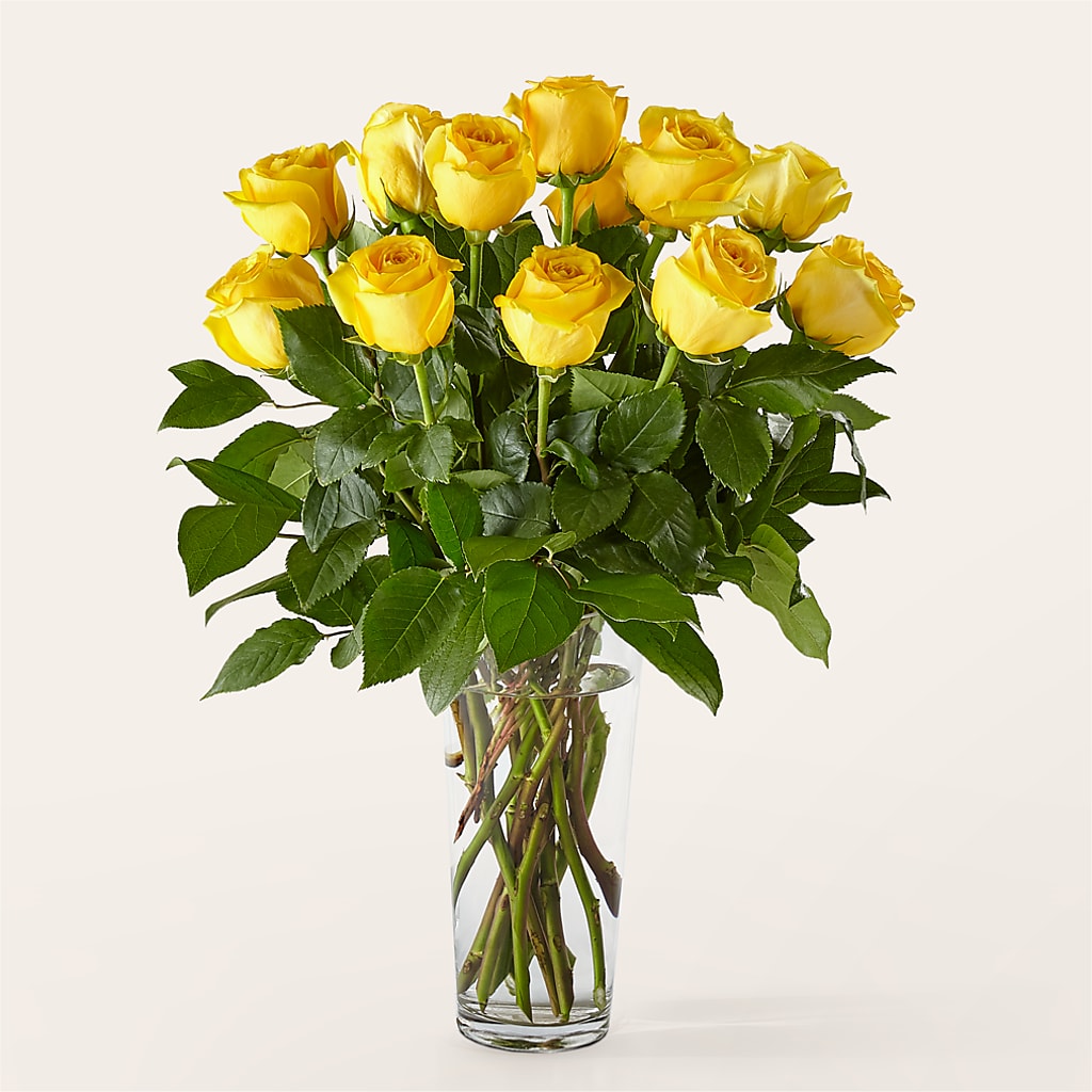 Long Stem Yellow Rose Bouquet – DIGIORGIO'S FLORIST, Charleroi PA