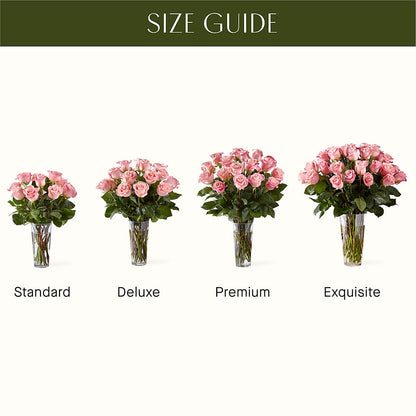 Long Stem Pink Rose Bouquet – DIGIORGIO'S FLORIST, Charleroi PA