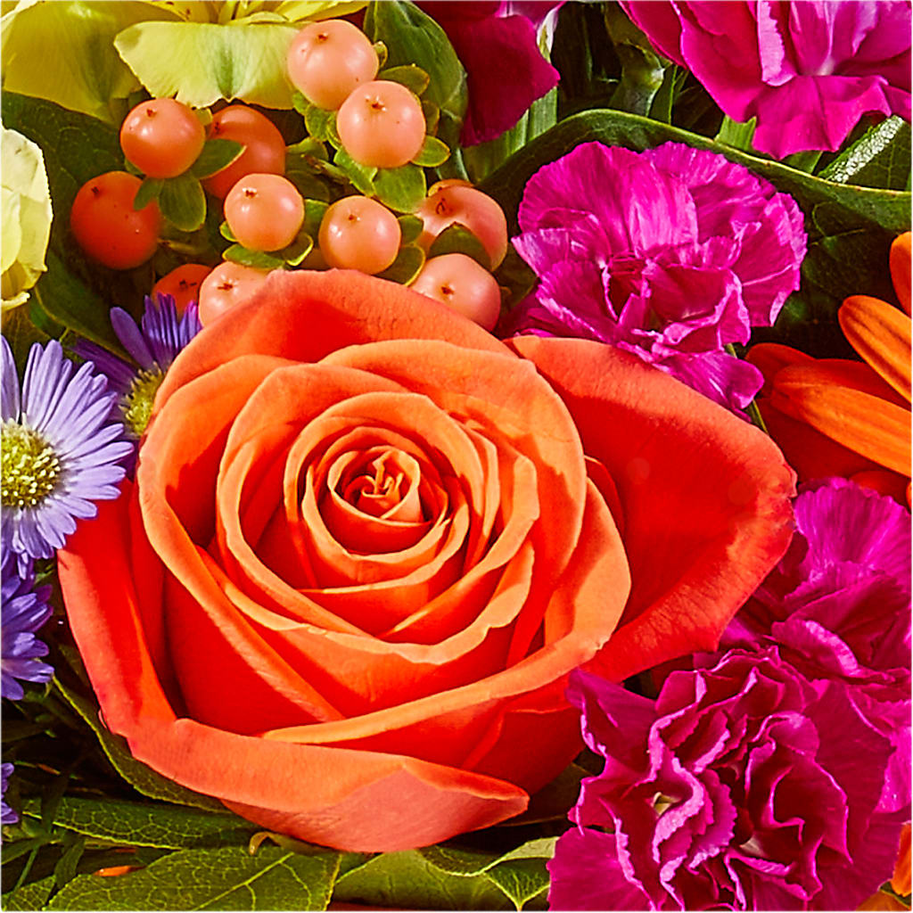 Tricks & Treats Pumpkin – DIGIORGIO'S FLORIST, Charleroi PA