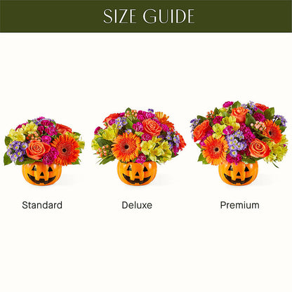 Tricks & Treats Pumpkin – DIGIORGIO'S FLORIST, Charleroi PA