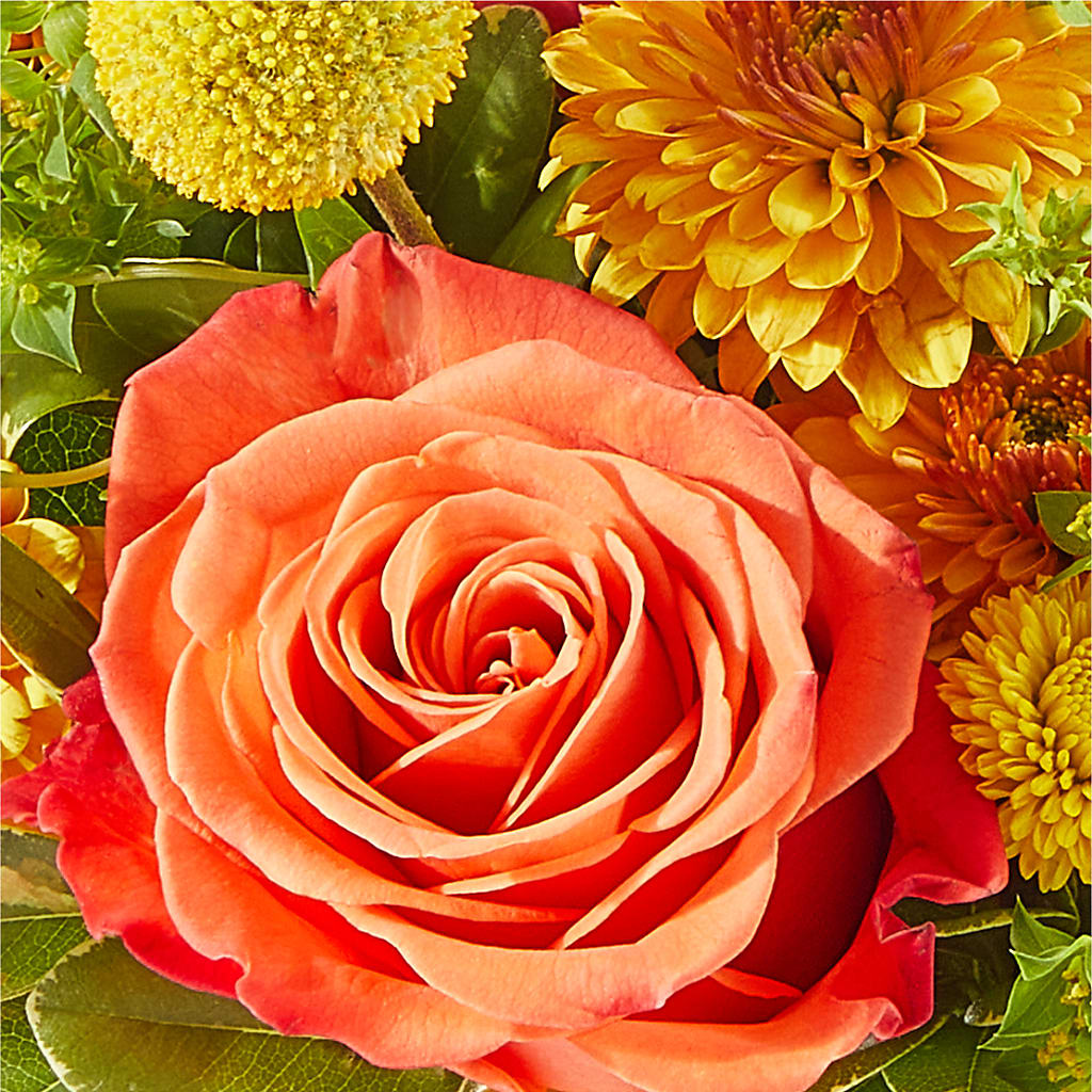 Gourdgeous Pumpkin – DIGIORGIO'S FLORIST, Charleroi PA