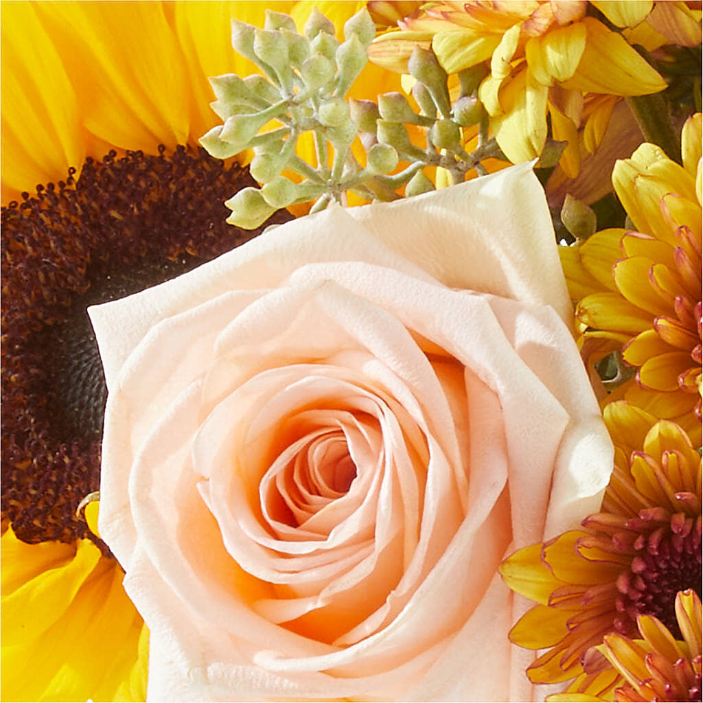 Pumpkin to Talk About Bouquet – DIGIORGIO'S FLORIST, Charleroi PA