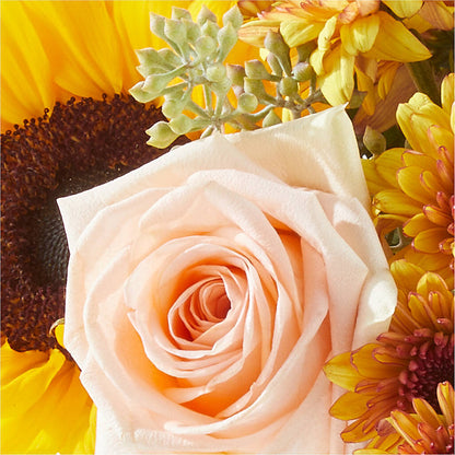 Pumpkin to Talk About Bouquet – DIGIORGIO'S FLORIST, Charleroi PA